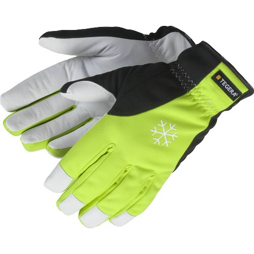 Getnarvshandske TEGERA 293