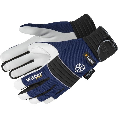 Getnarvshandske TEGERA 297