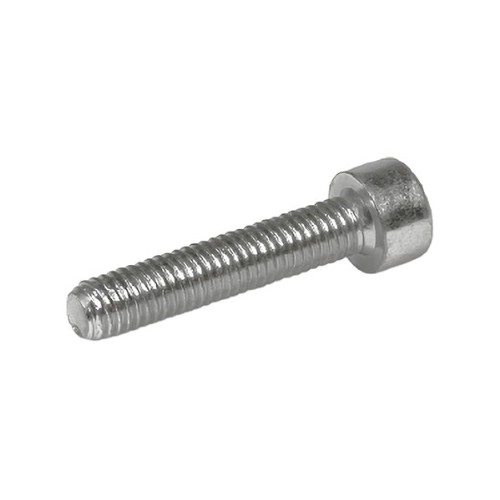 Skruv Insex MC6S A2 DIN 912